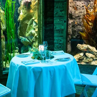 MV PD Whatson 700X700px 7704