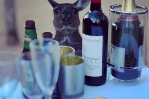 Kangaroo